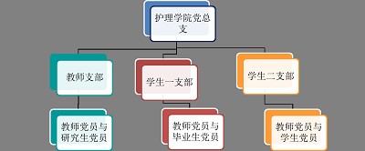 bg大游平台官网党总支介绍